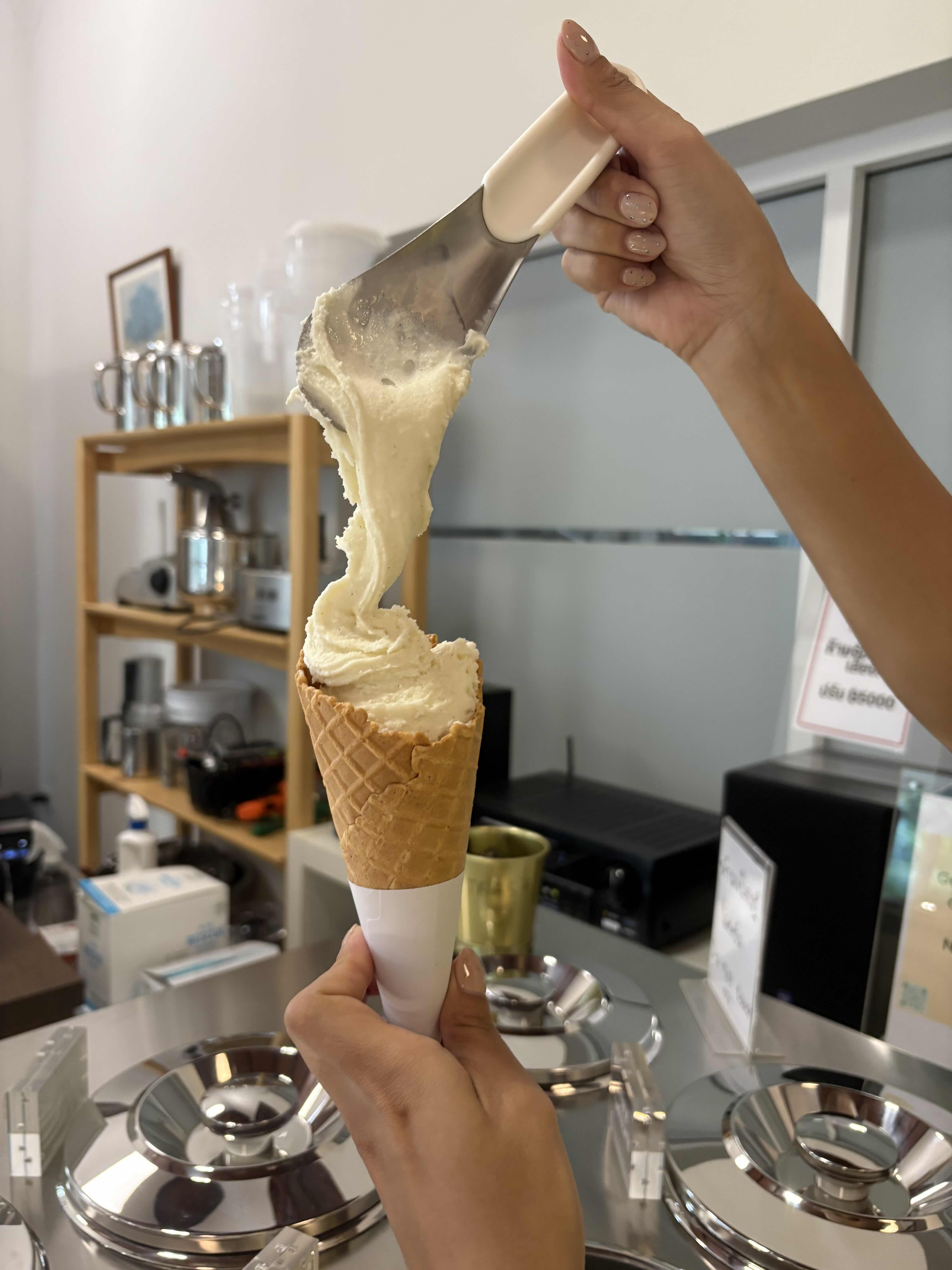 Vanilla gelato pulled fresh onto a cone